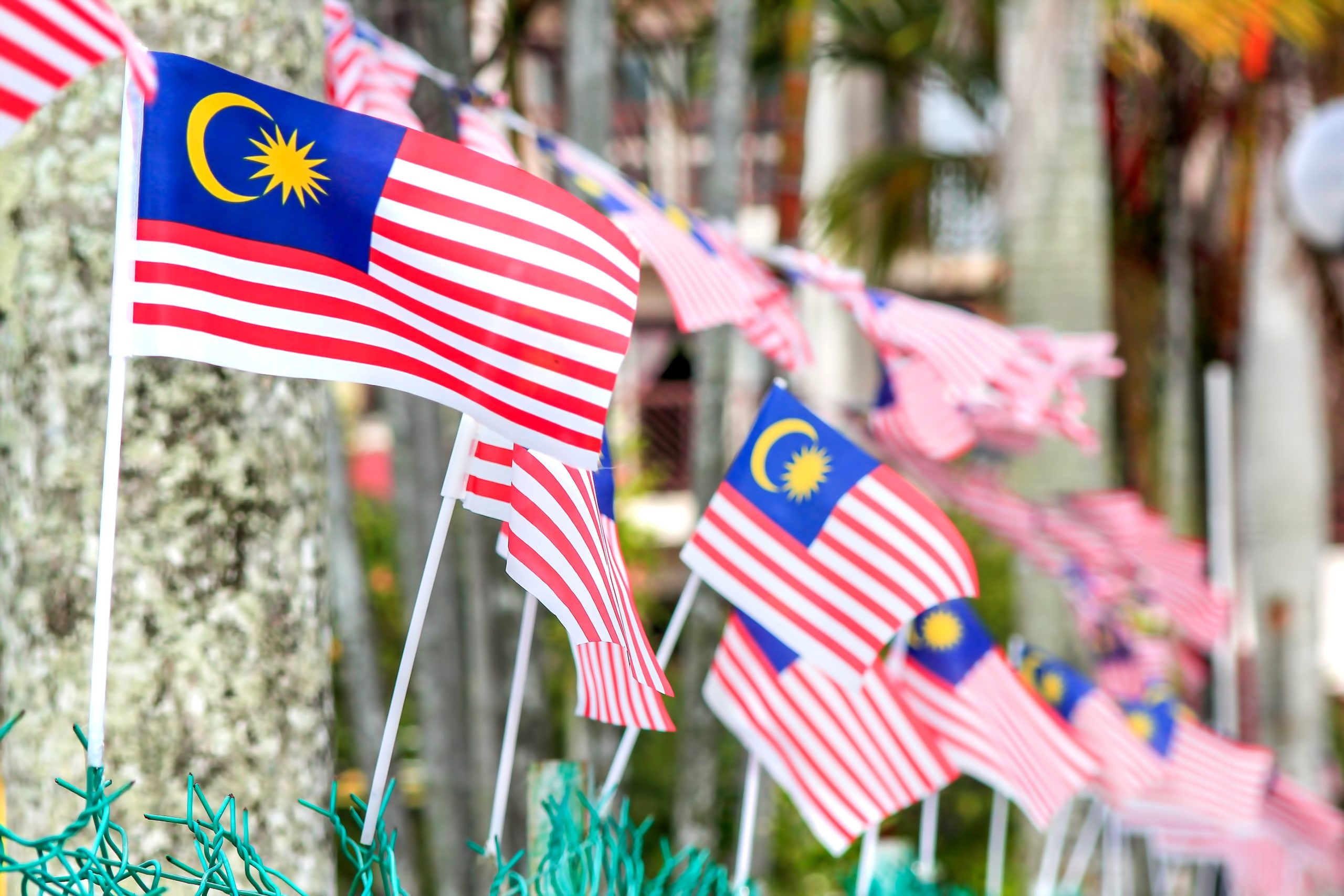 Several Malaysian flags, known as (Jalur Gemilang, are displayed outdoors, waving in the wind with a blurred building in the background.